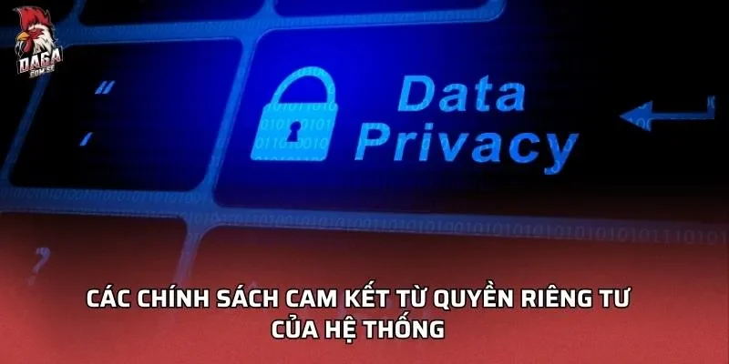 Các chính sách cam kết từ Quyền riêng tư DAGA của hệ thống