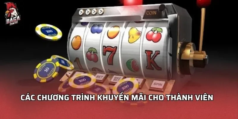 Các chương trình khuyến mãi cho thành viên