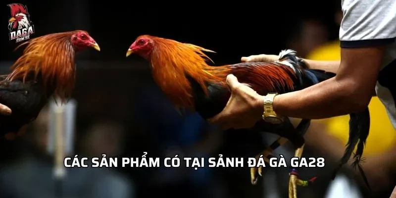 Các sản phẩm có tại sảnh đá gà GA28