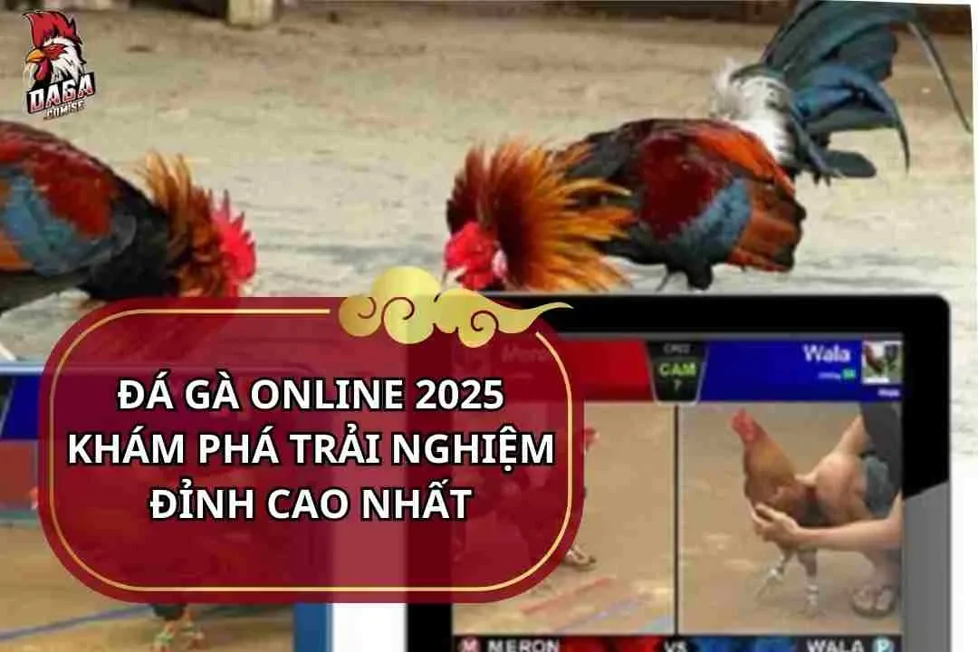 đá gà online