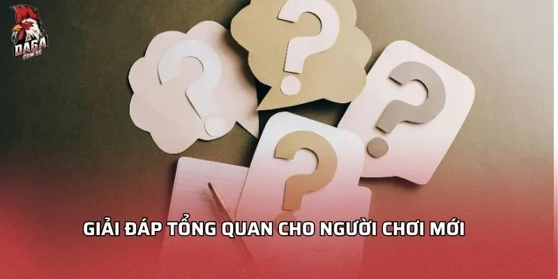 Giải đáp tổng quan cho người chơi mới