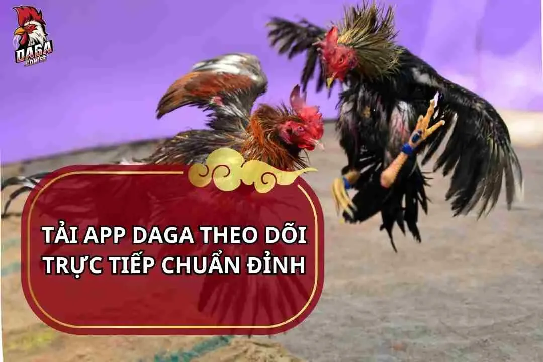 Tải app Daga