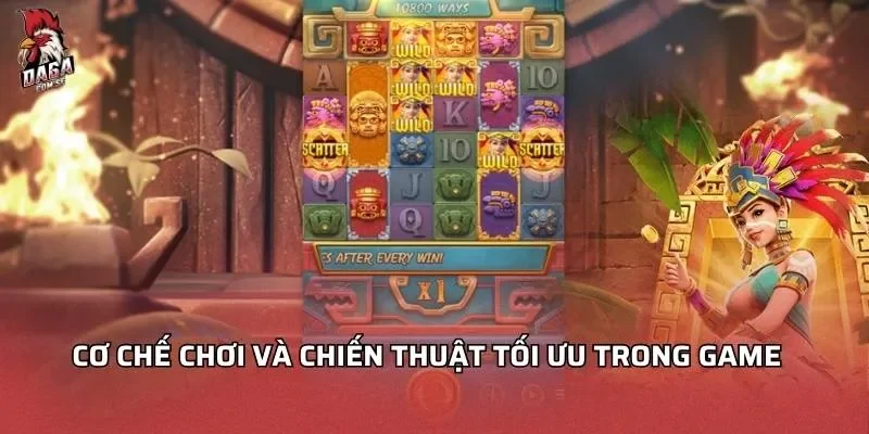 Cơ chế chơi và chiến thuật tối ưu trong game