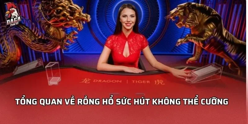 Tổng quan về rồng hổ sức hút không thể cưỡng